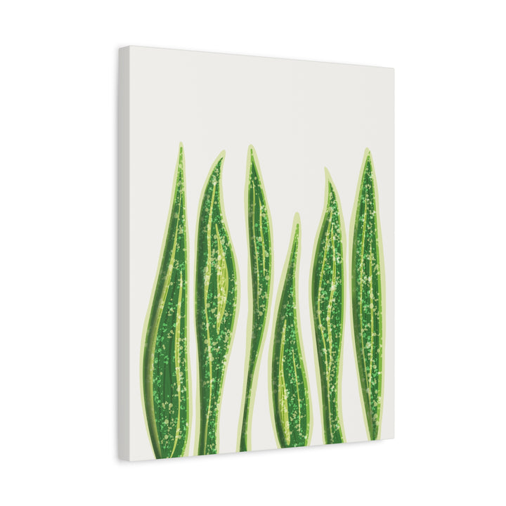 Snake Plant Canvas Print Matte 1.25 Inch Stretch Canvas Wall Art For Living Room Decor