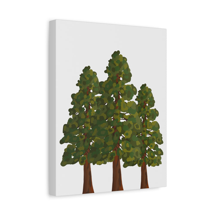 Coastal Redwoods Matte Canvas Print On 1.25 Inch Stretched Canvas For Serene Forest Wall Art In Living Rooms
