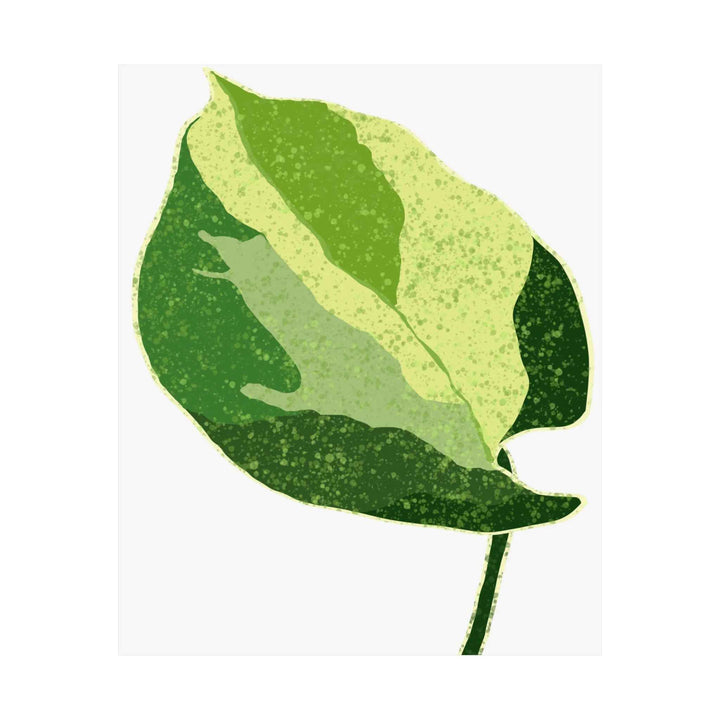 Pothos Wall Art – Botanical Poster on Museum Grade Paper | Indoor Plant Print Unframed - The Potted Pixel
