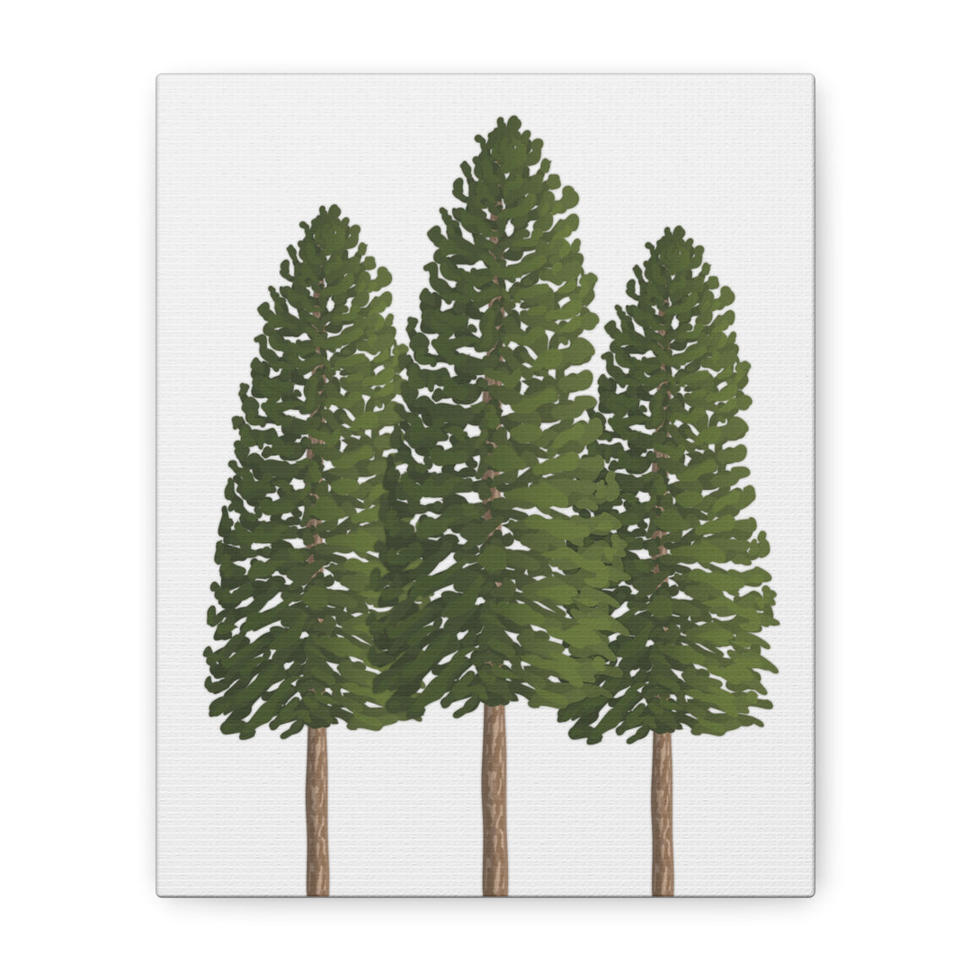 Three Ponderosa Pine Canvas Wall Art Matte Stretched Print Minimalist Forest Landscape Decor