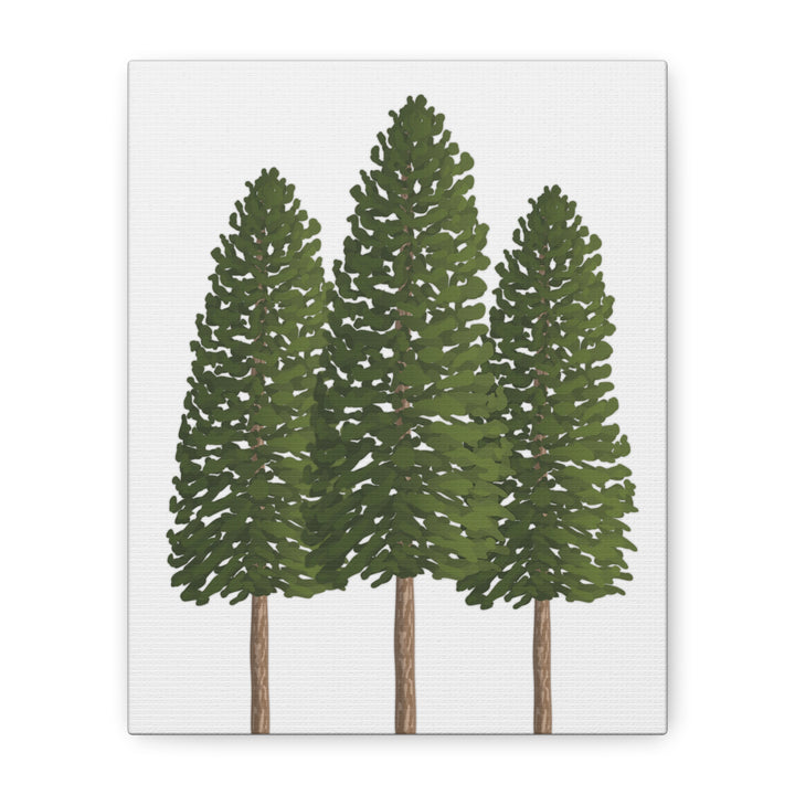Three Ponderosa Pine Canvas Wall Art Matte Stretched Print Minimalist Forest Landscape Decor