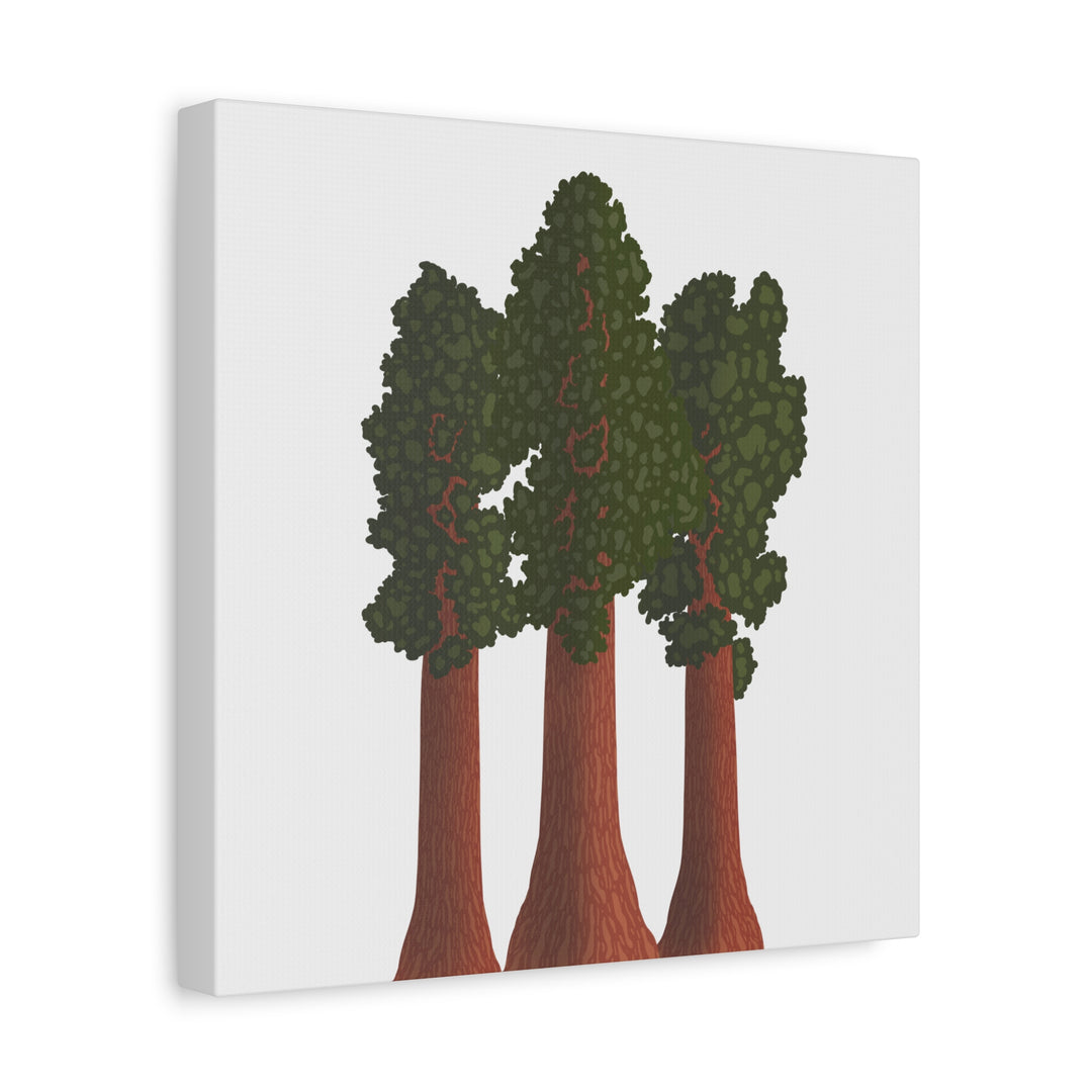 Giant Sequoias Canvas Print – Wall Art