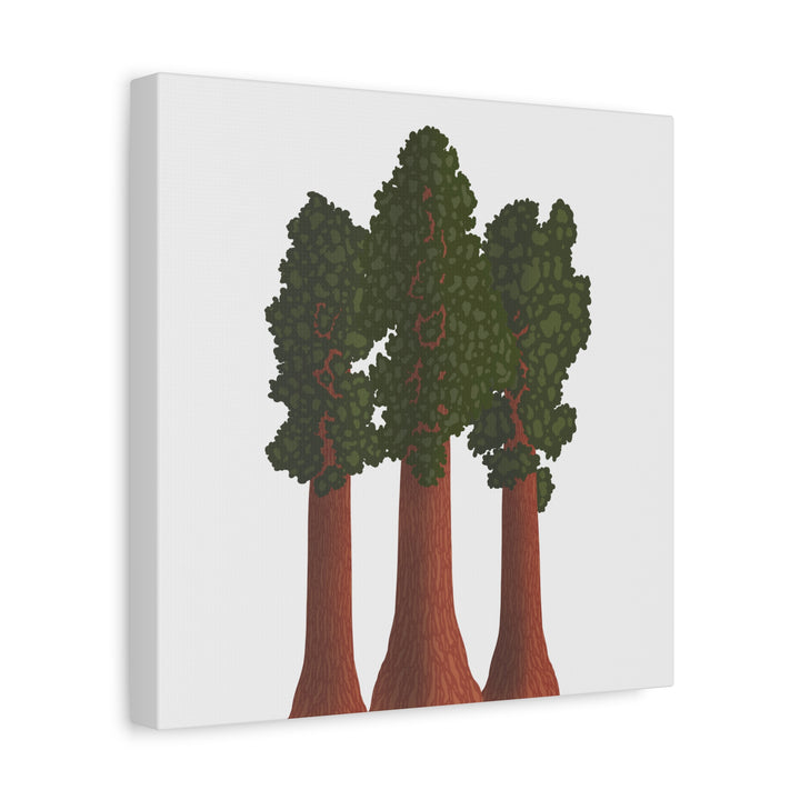 Giant Sequoias Canvas Print – Wall Art