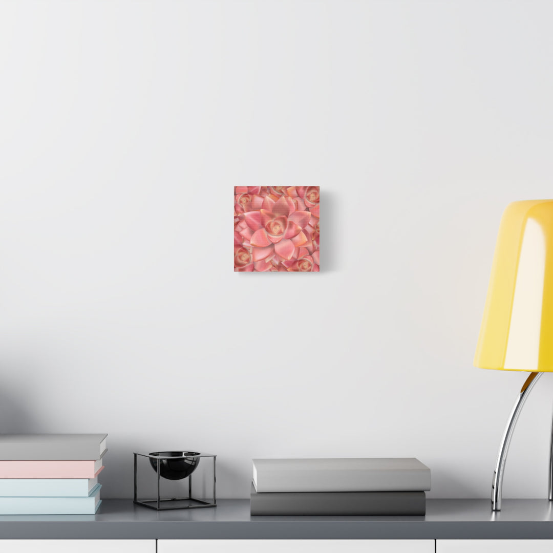 Graptosedum California Sunset Succulent Canvas Print – Botanical Wall Art - The Potted Pixel