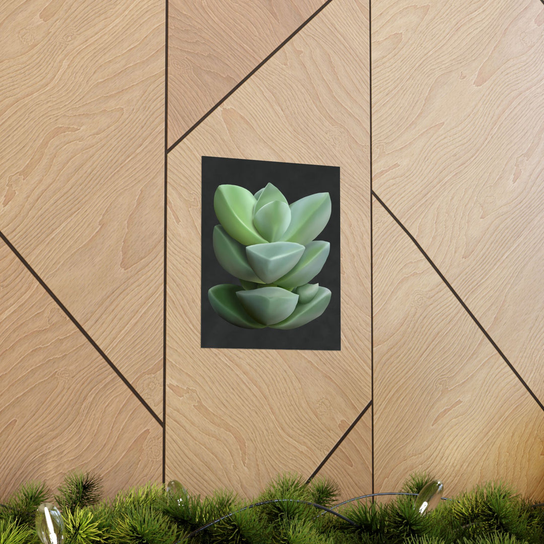 Crassula Botanical Print – Unframed Wall Art