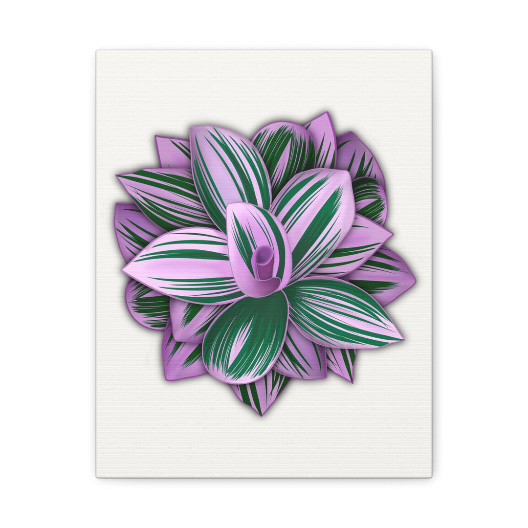 Tradescantia Nanouk Canvas Botanical Wall Art Print Pink Green Foliage On Stretched Cotton Canvas