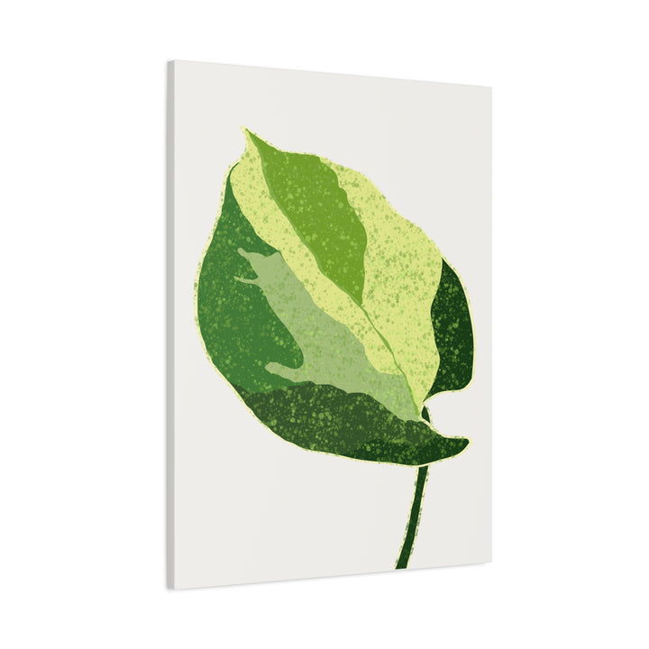 Manjula Pothos Botanical Canvas Print Matte Finish Stretched Canvas Wall Art 1.25 Inch Depth