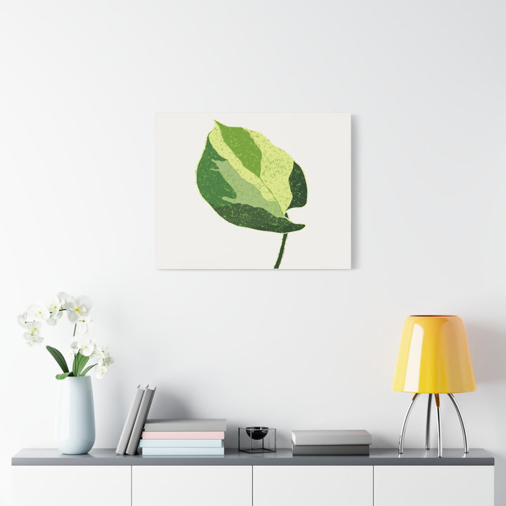Manjula Pothos Botanical Canvas Print Matte Finish Stretched Canvas Wall Art 1.25 Inch Depth