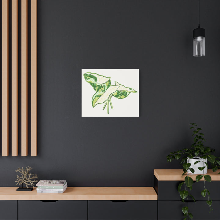 Marble Syngonium Canvas Botanical Wall Art Stretched Print On Durable Cotton Canvas Matte Finish