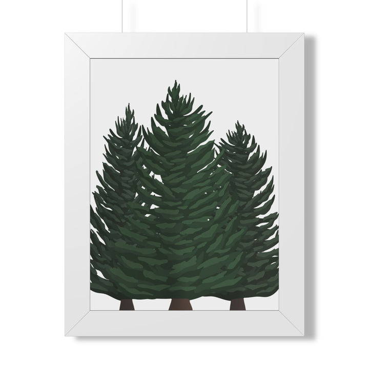 Douglas Fir Framed Print – Wall Art