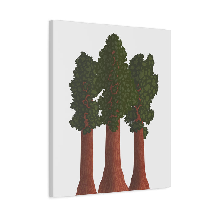 Giant Sequoias Canvas Print – Wall Art