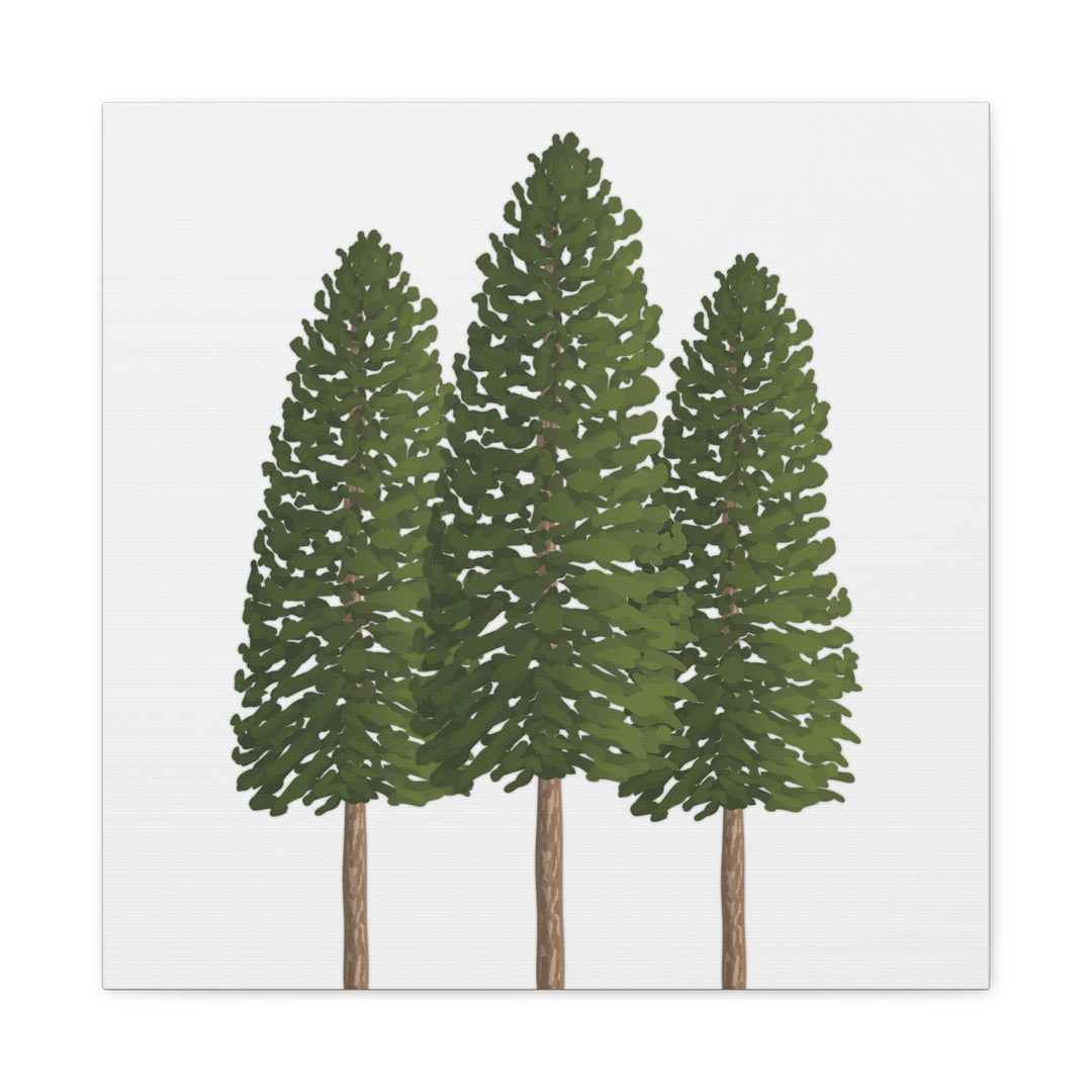 Three Ponderosa Pine Canvas Wall Art Matte Stretched Print Minimalist Forest Landscape Decor