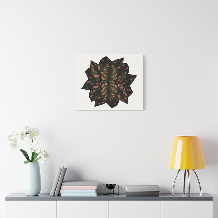 Calathea Pinstripe Canvas Botanical Wall Art Print On Stretched Cotton Canvas For Living Room Decor