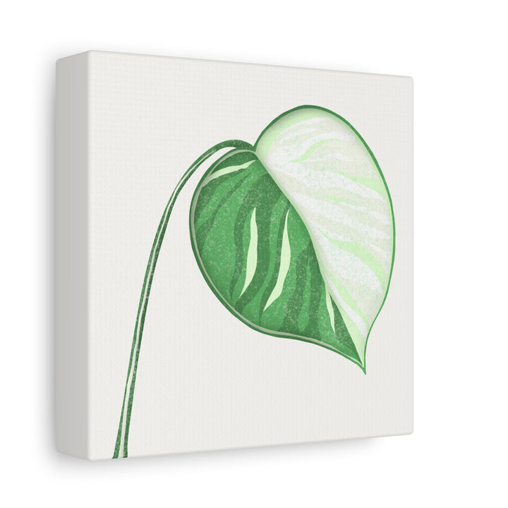 Monstera Albo Canvas Large Stretched Premium Quality Cotton Canvas Wall Art Tropical Leaf Poster Decor