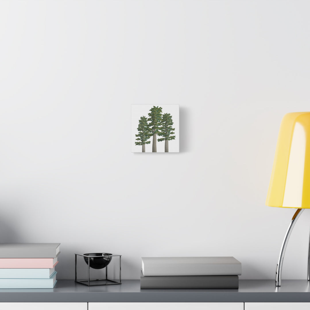 Sitka Spruce Canvas Print – Wall Art