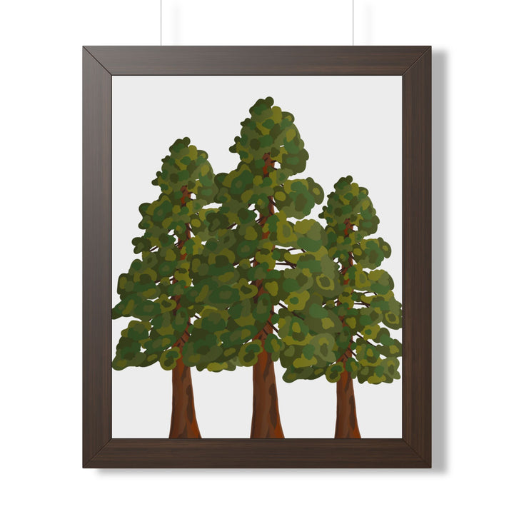 Coastal Redwood Framed Print – Wall Art