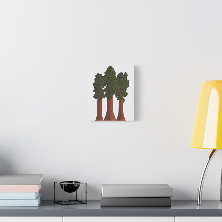 Giant Sequoias Canvas Print – Wall Art