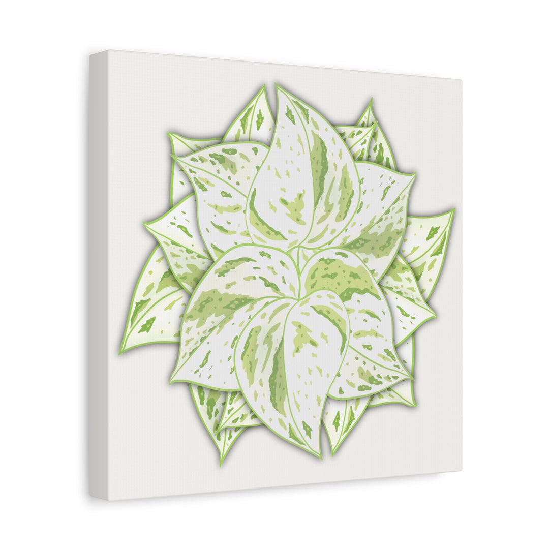 Snow Queen Pothos Canvas Wall Art Variegated Indoor Plant Leaf Poster Print Cotton Canvas