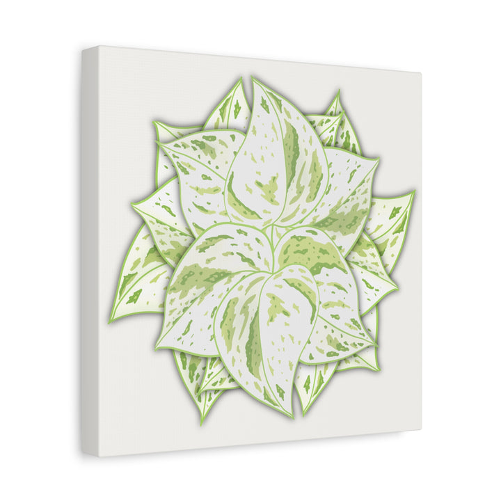 Snow Queen Pothos Canvas Wall Art Variegated Indoor Plant Leaf Poster Print Cotton Canvas