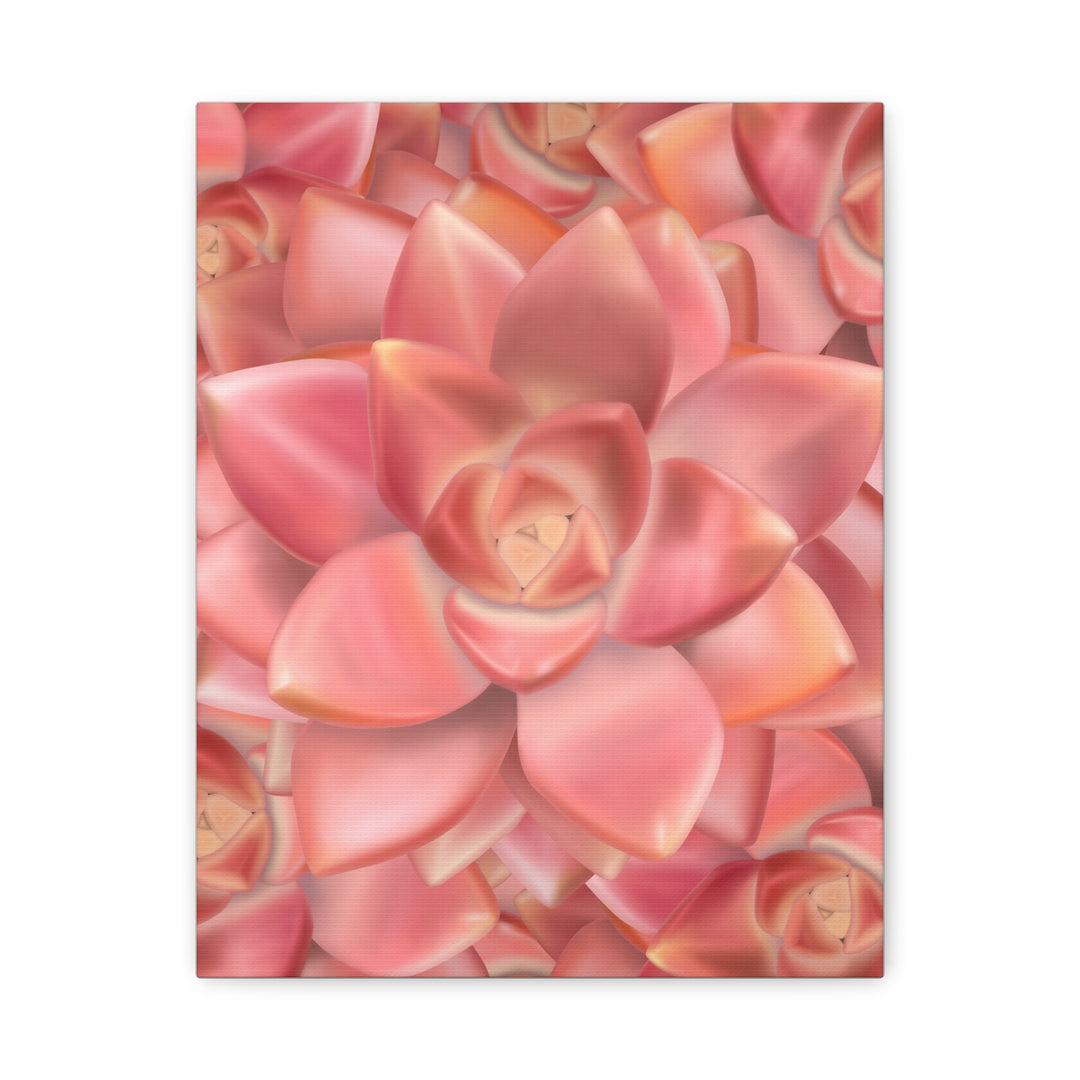 Graptosedum California Sunset Succulent Canvas Print – Botanical Wall Art - The Potted Pixel
