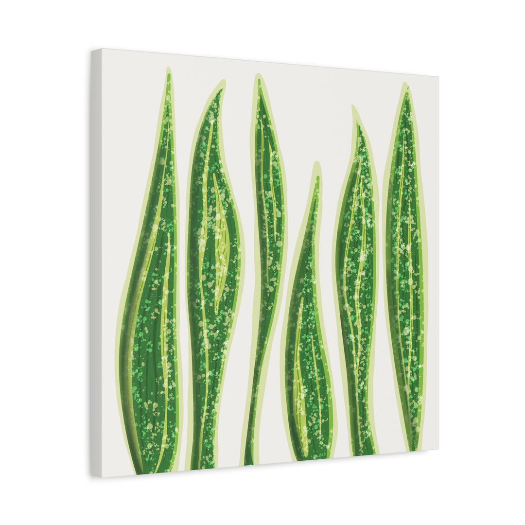Snake Plant Canvas Print Matte 1.25 Inch Stretch Canvas Wall Art For Living Room Decor