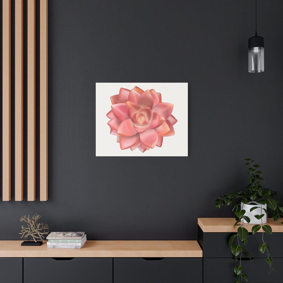 Succulent Canvas Art California Sunset Rosette Botanical Wall Art Print The Potted Pixel