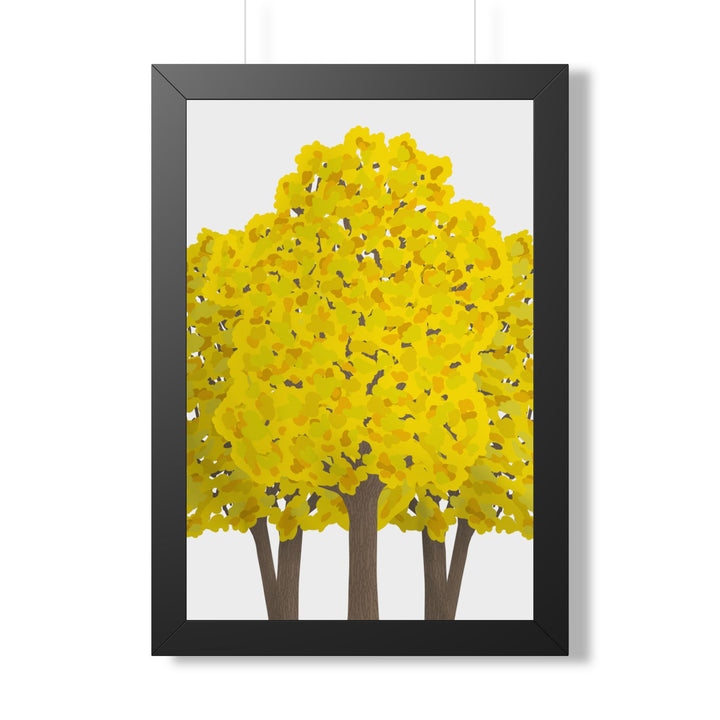 Big Leaf Maple Framed Print – Wall Art