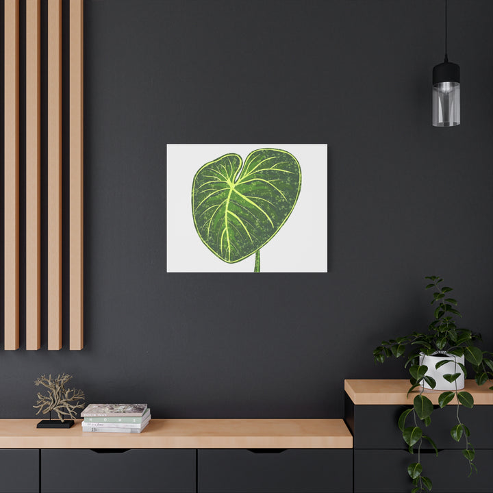 Philodendron Gloriosum Canvas Print Stretched Wall Art Botanical Leaf Print Matte Finish Gallery Wrapped Canvas