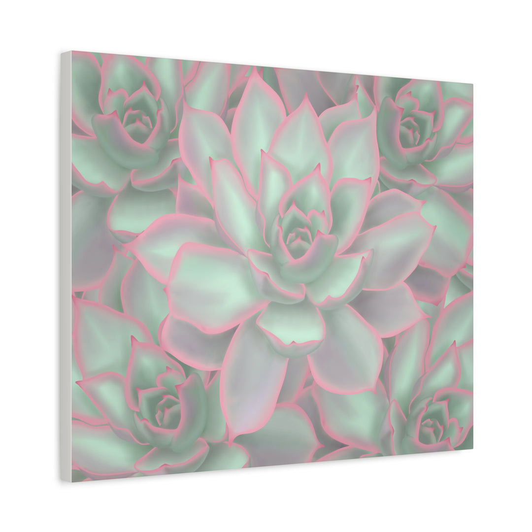 Echeveria Violet Queen Canvas Wall Art Succulent Print Matte Botanical Decor For Indoor Spaces