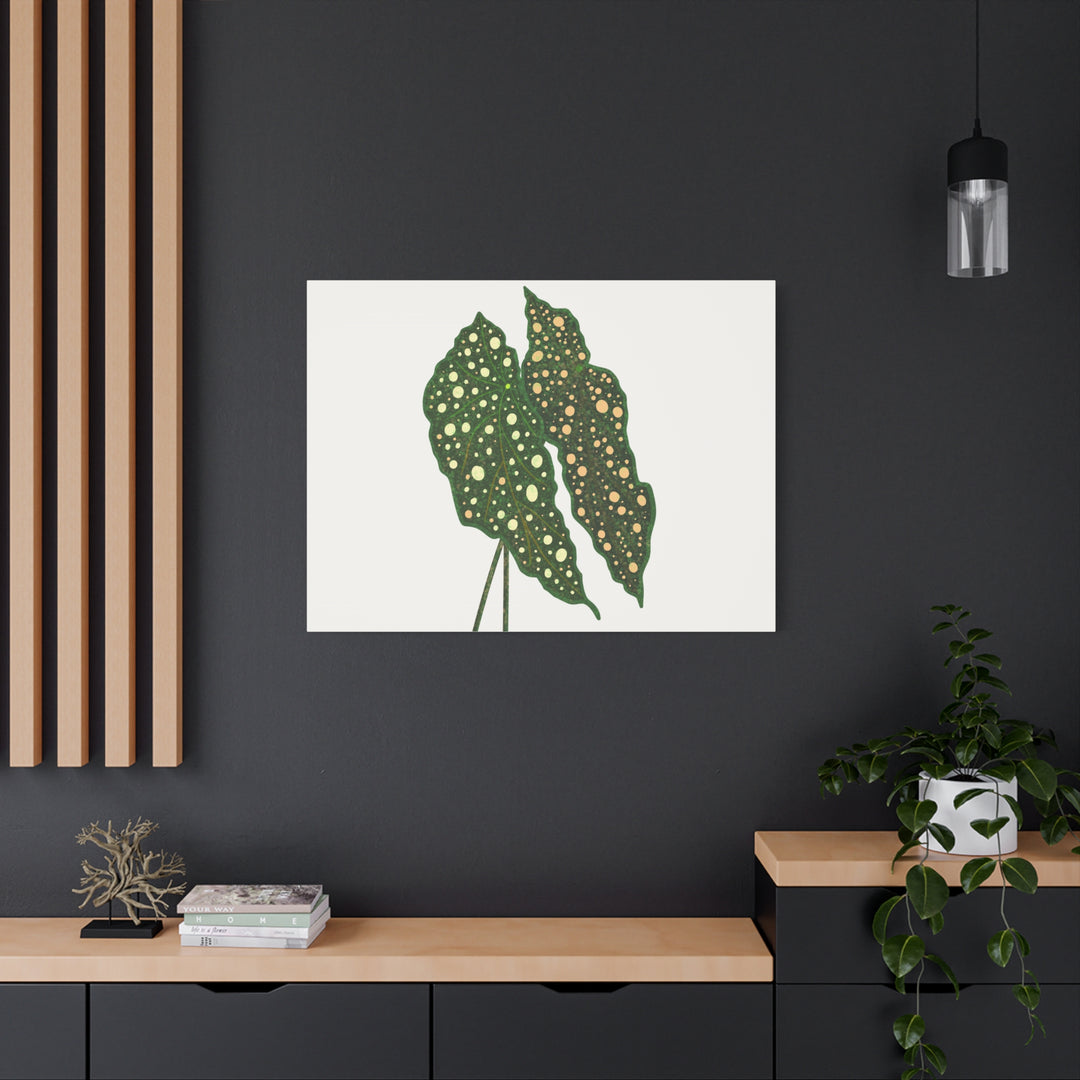 Begonia Maculata Canvas Premium Botanical Wall Art Print On Cotton Canvas With Matte Finish For Indoor Decor