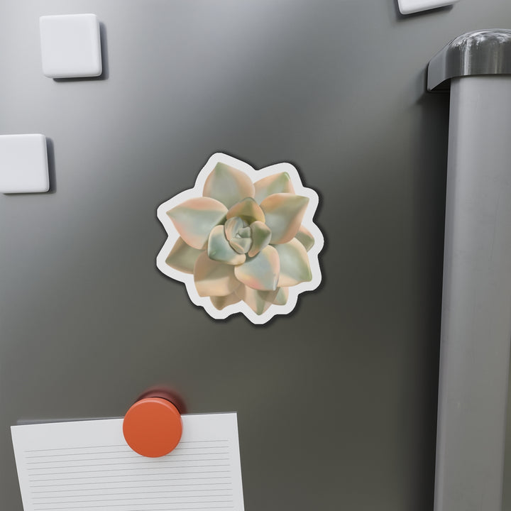 Graptoveria Titubans Succulent Magnet
