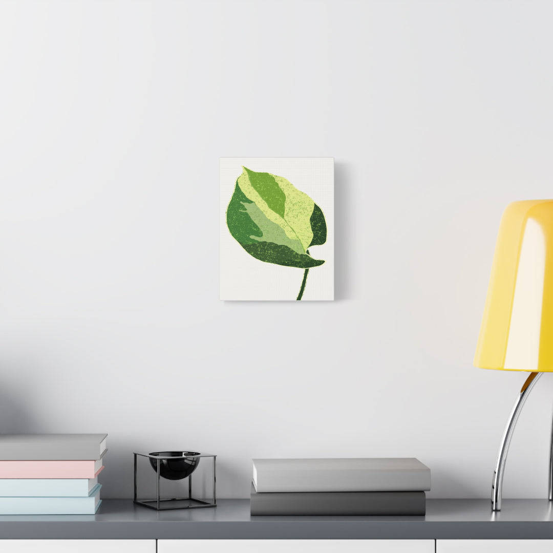 Manjula Pothos Botanical Canvas Print Matte Finish Stretched Canvas Wall Art 1.25 Inch Depth