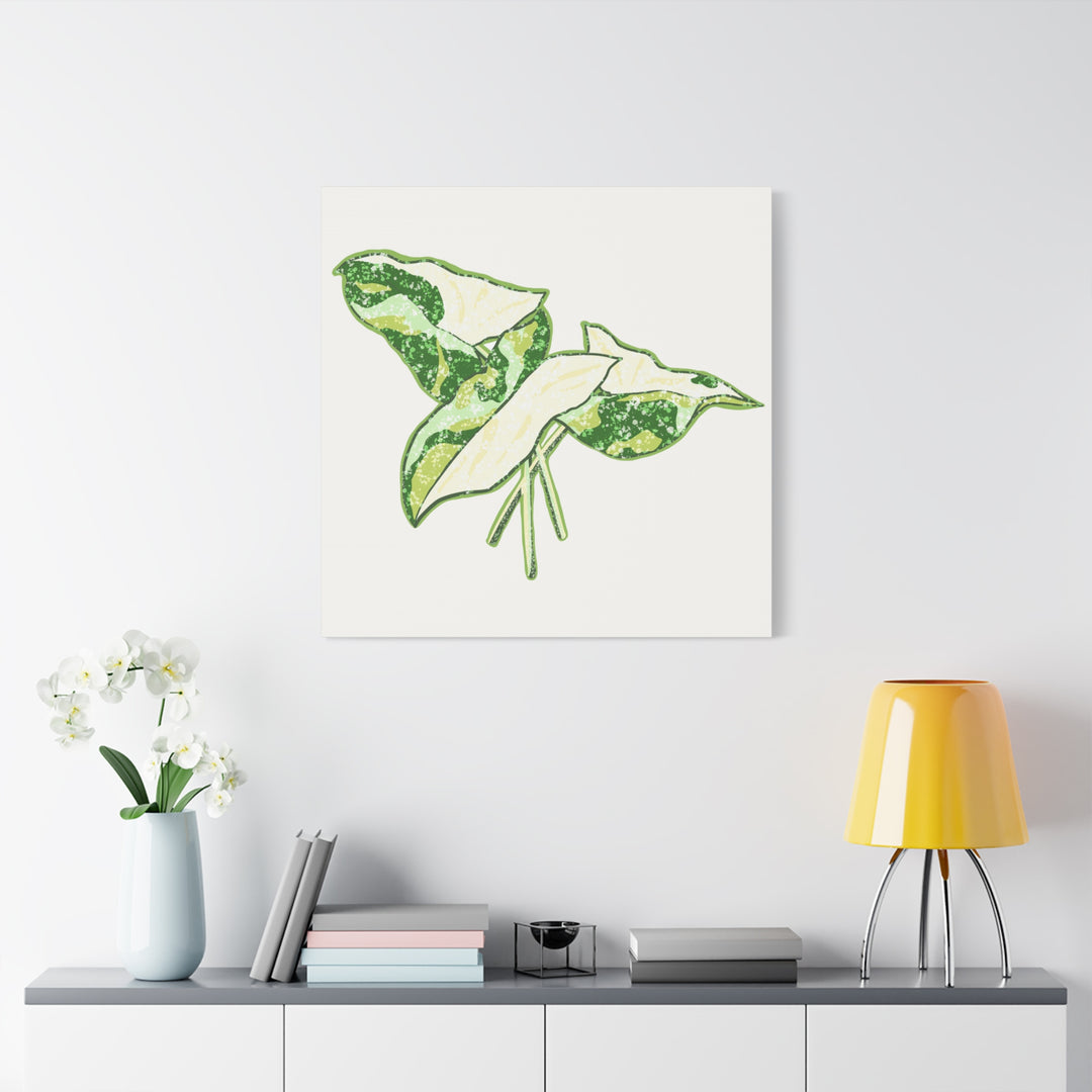 Marble Syngonium Canvas Botanical Wall Art Stretched Print On Durable Cotton Canvas Matte Finish