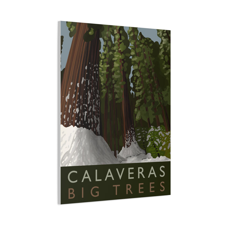 Calaveras Big Trees Canvas Print – Wall Art