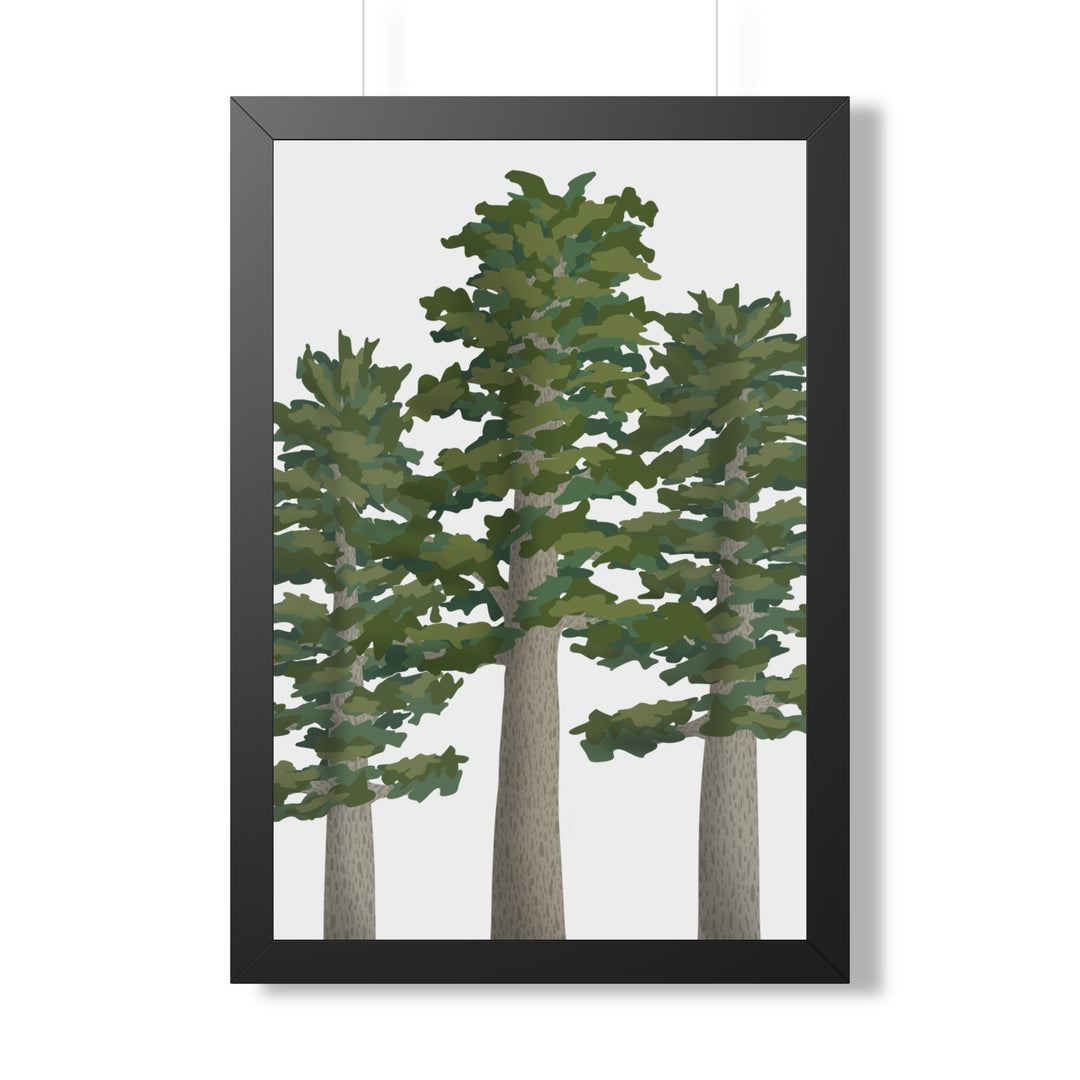 Sitka Spruce Framed Print – Wall Art