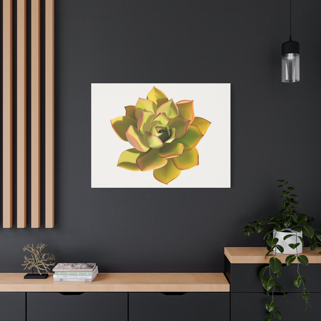 Noble Aeonium Succulent Canvas Wall Art Print for Modern Home Decor by The Potted Pixel