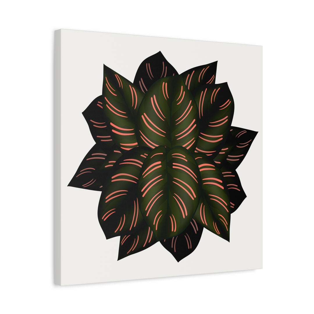 Calathea Pinstripe Canvas Botanical Wall Art Print On Stretched Cotton Canvas For Living Room Decor