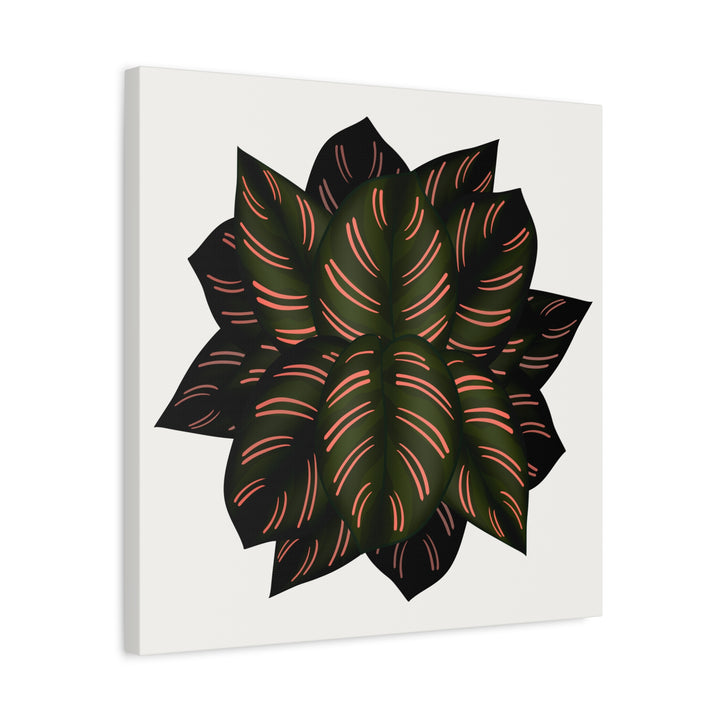 Calathea Pinstripe Canvas Botanical Wall Art Print On Stretched Cotton Canvas For Living Room Decor