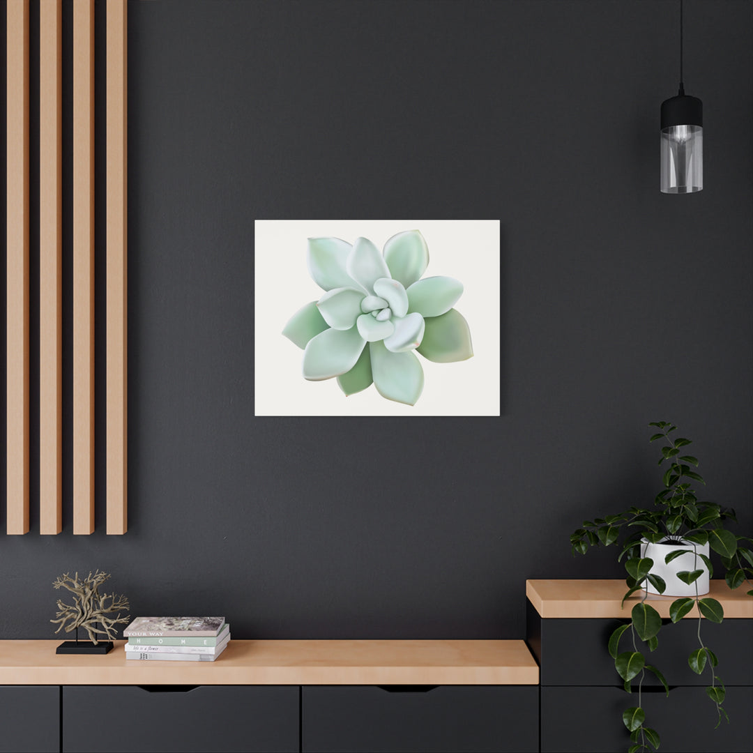 Succulent Canvas Art Pachyveria Haagei Print On Matte Finish Canvas Botanical Wall Decor