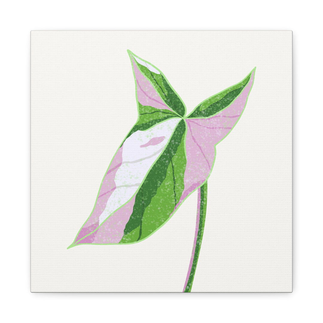 Syngonium Tricolor Canvas Print – Botanical Wall Art - The Potted Pixel