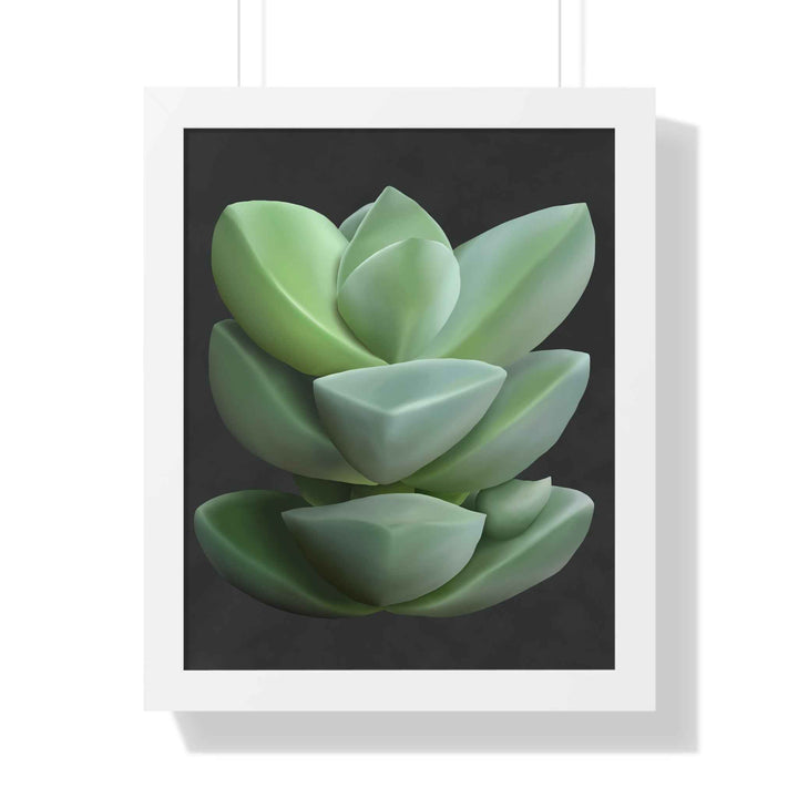 Crassula Succulent Framed Poster Vertical Botanical Wall Art