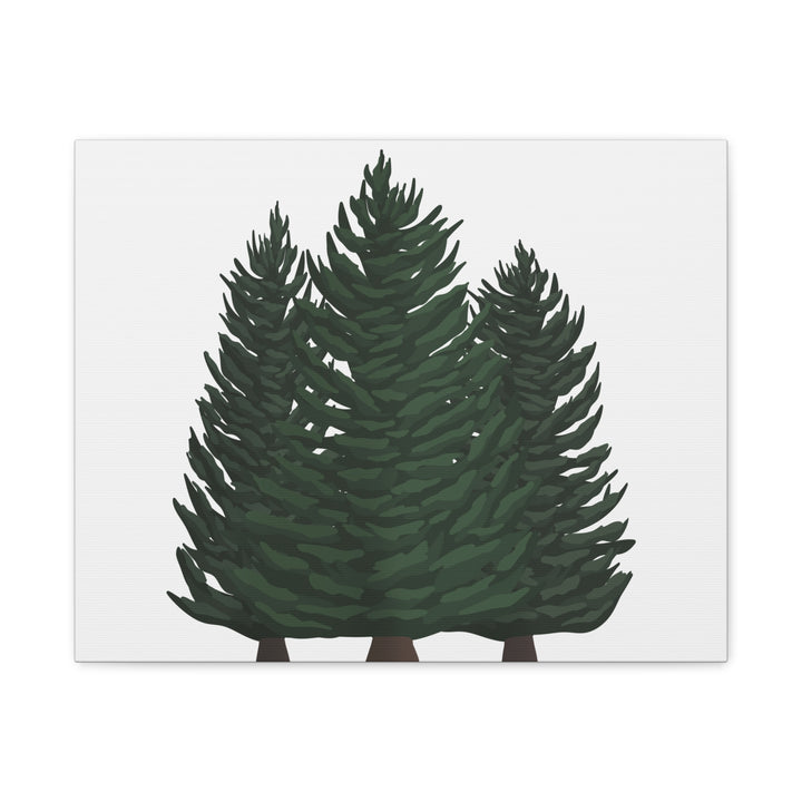 Douglas Fir Canvas Print – Wall Art