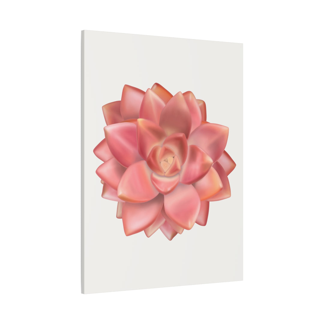 Succulent Canvas Art California Sunset Rosette Botanical Wall Art Print The Potted Pixel