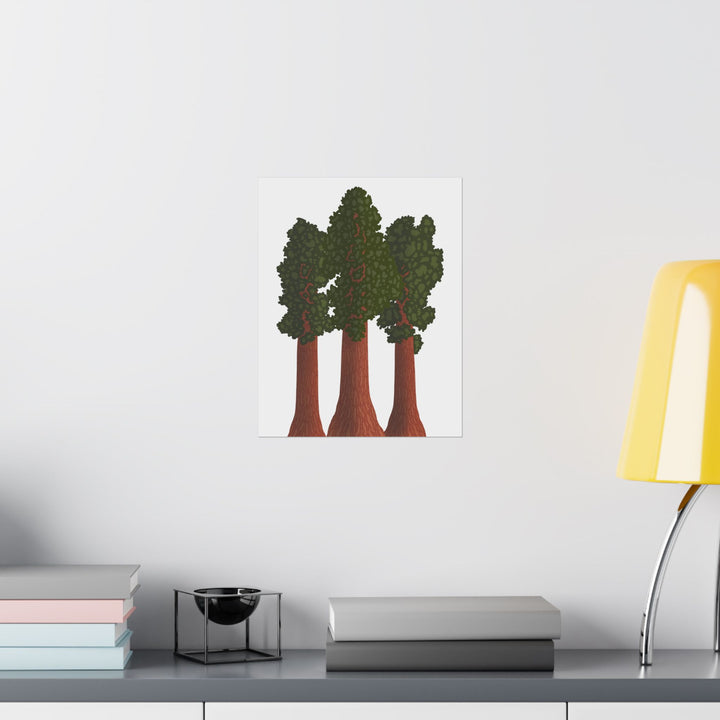 Giant Sequoias Print – Unframed Wall Art
