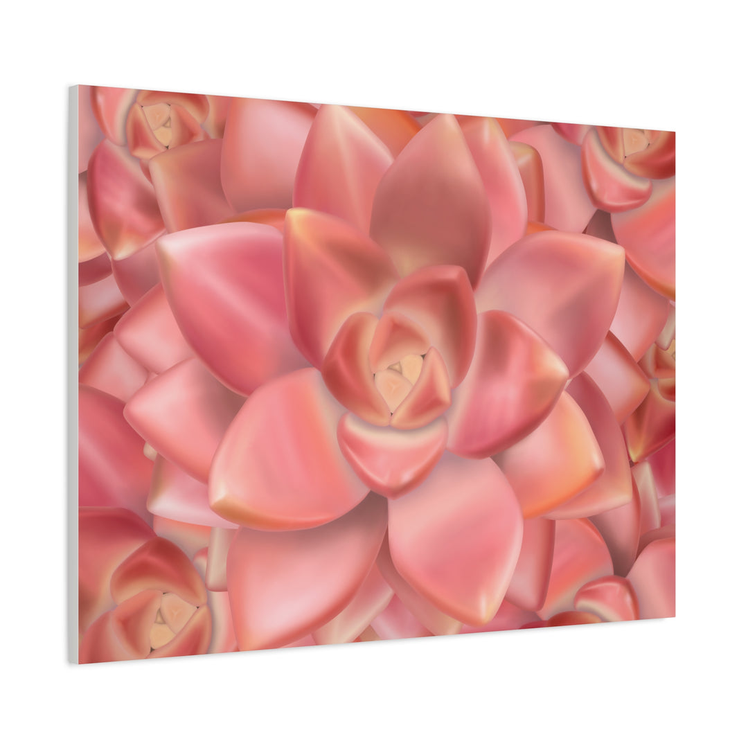 Graptosedum California Sunset Succulent Canvas Print – Botanical Wall Art - The Potted Pixel
