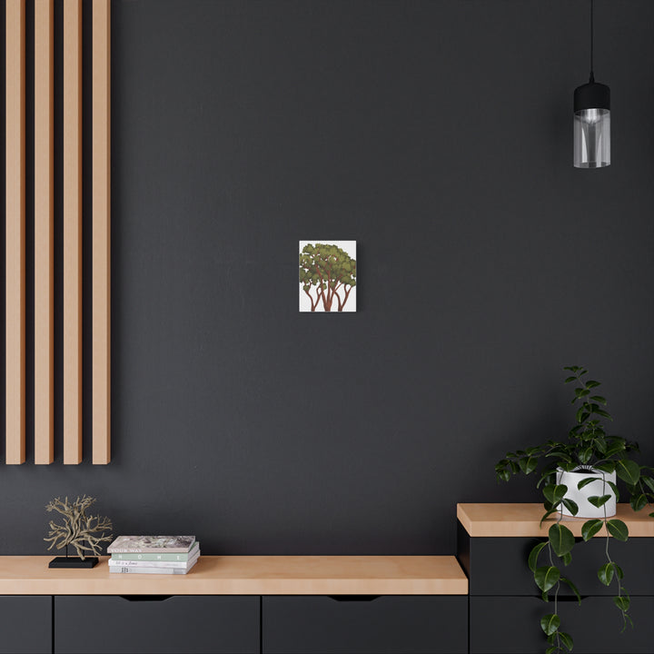 Pacific Madrone Canvas Print – Wall Art