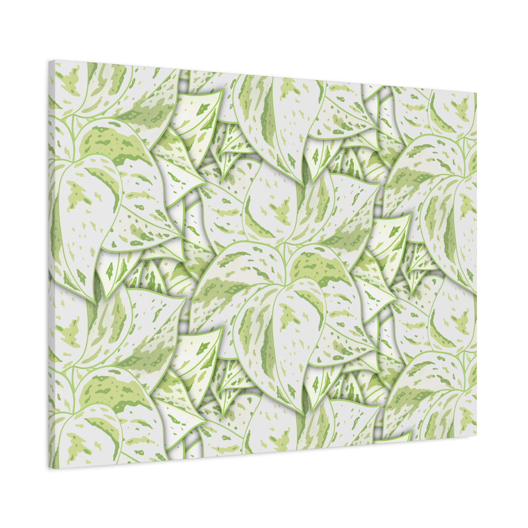 Snow Queen Pothos Canvas Print With Variegated White Leaves In Matte Finish For Modern Home Decor