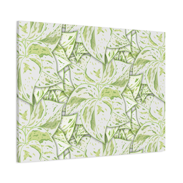 Snow Queen Pothos Canvas Print With Variegated White Leaves In Matte Finish For Modern Home Decor