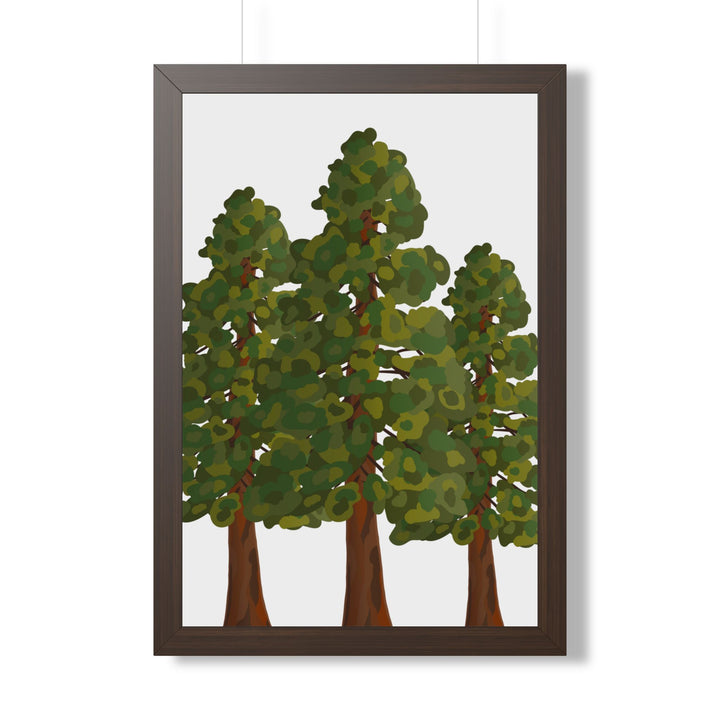 Coastal Redwood Framed Print – Wall Art