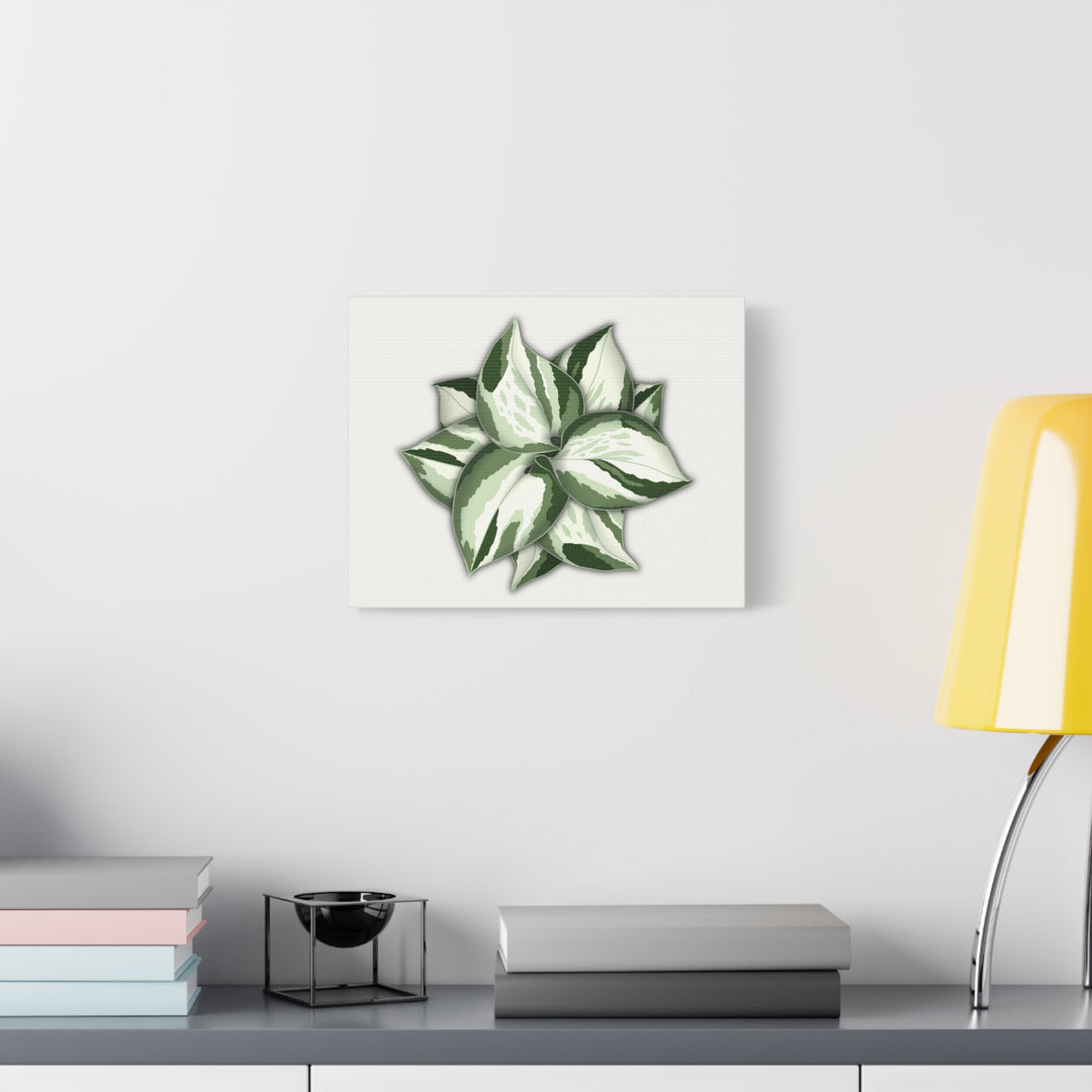 Manjula Pothos Canvas Print Stretched Matte Canvas Wall Art For Living Room And Office